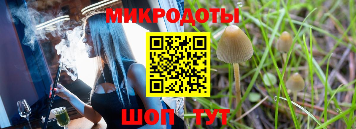 Туймазы  Псилоцибиновые грибы прущие грибы  Вход с VPN 